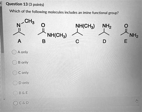 Solved Question Points Which Of The Following Molecules