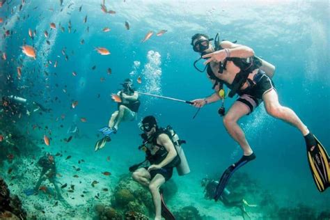 Koh Tao Scuba Diving Course | A One Day Try Dive Experience | TripTins