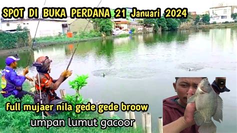 Umpan Lumut Selalu Gacor Spot Di Buka Perdana Lomba Januari Ikan