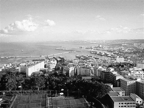 Seaport of Algiers - Seaoo.com | Blog