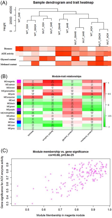 A Sample Dendrogram And Trait Heatmap Closer Branches Indicate More Download Scientific