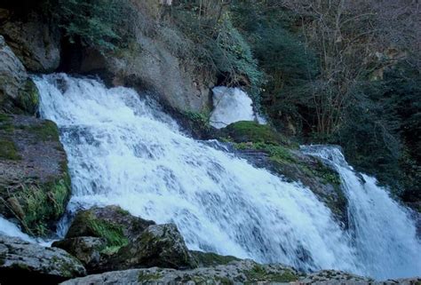 Las Fuentes Del Llobregat I Castellar De N Hug Turismo Escolar