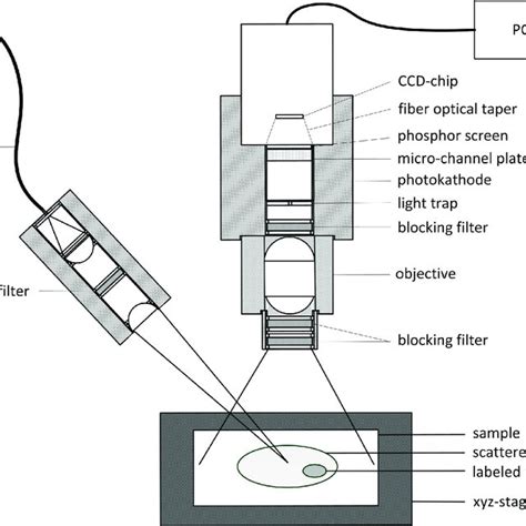 Schematic Diagram Of The Developed Fluorescence Imaging System