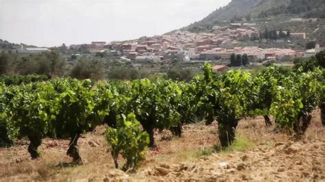 Alcadesa A Mayoral Affair Deutsch Episode 1 Fingering Porn Feat Aris Dark XHamster