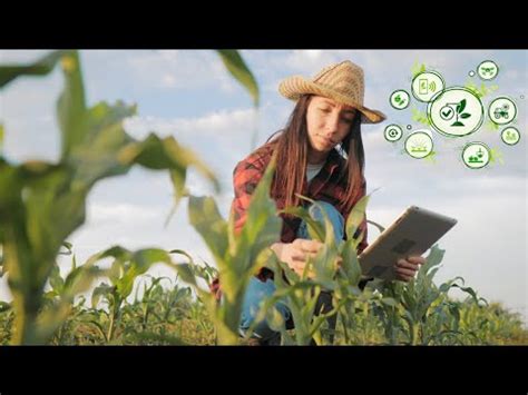 El Cuaderno Digital de Explotación Agrícola Obligatorio en 2024 YouTube