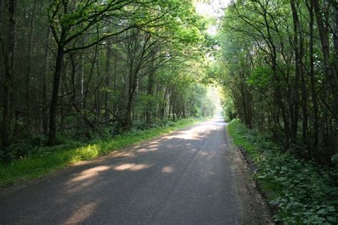 Wood Lane Richard Croft Geograph Britain And Ireland