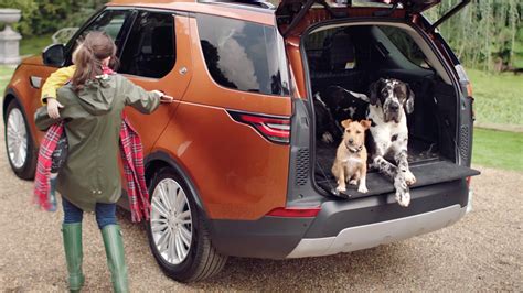 The Top 10 Best Cars For Dogs And Dog Owners Carwow