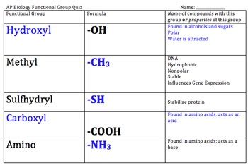 AP Biology Functional Groups Quiz By Bio4U High School Biology TpT