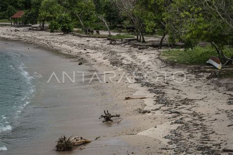 SAMPAH DI PANTAI PINK LOMBOK ANTARA Foto