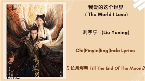 我爱的这个世界 The World I Love 刘宇宁 Liu Yuning Chi Pinyin Eng IndoLyrics 长