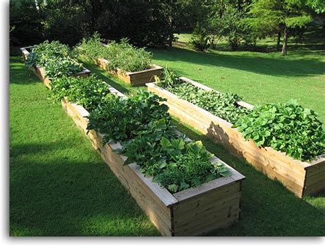 Diy Raised Garden Bed Cedar Fence Tameka Rafferty