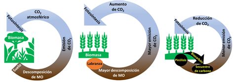 El carbón del suelo y la crisis climática Revista F y L