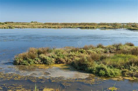 Landscape of the Lagoon at the Po Delta River National Park, Italy. Stock Image - Image of oasis ...