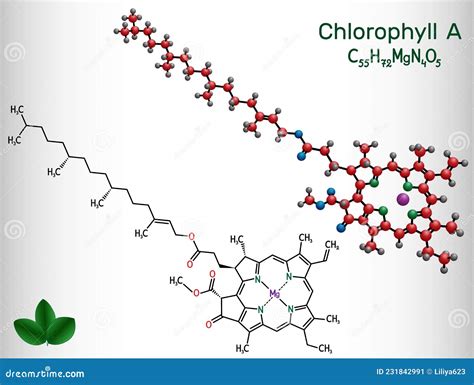 Chlorophyll A Chlorophyll Molecule It Is Photosynthetic Pigment Used