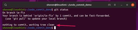 How To Undo Last Commit In Git LaptrinhX