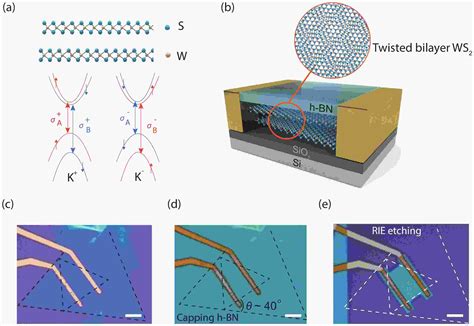 Gate Tunable Spatial Accumulation Of Valley Spin In Chemical Vapor