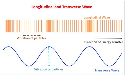 Unit 4 - Longitudinal Waves Diagram | Quizlet