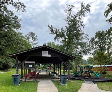 Discover Opelika Municipal Park: Your Ultimate Guide to Monkey Park Fun