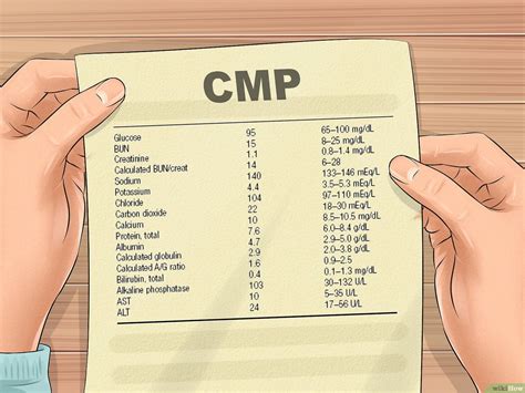 Comprehensive Metabolic Panel Cmp Vinmec