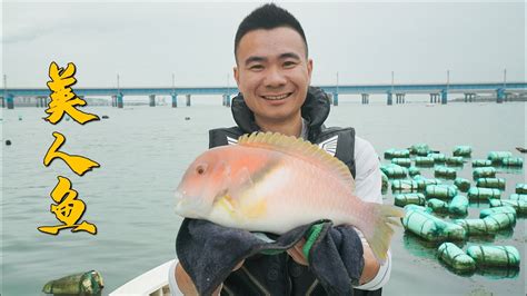 阿烽出海连竿中鱼，碰到美人鱼把鱼竿都给拉断，拿去加餐太好吃了 Youtube