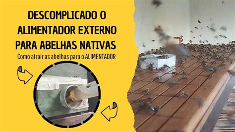 Descomplicando O Alimentador Externo Para Abelhas Nativas Youtube