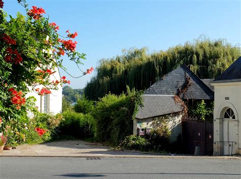 Bignone Orange Et Saules Pleureurs Candes Saint Martin F Flickr