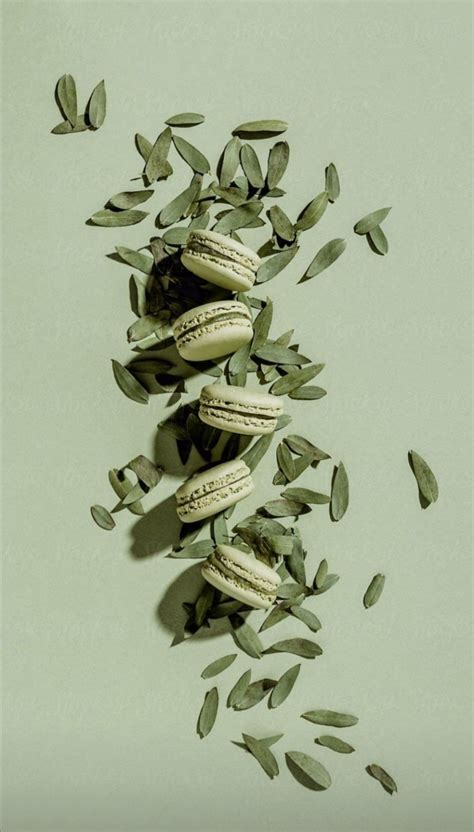 Macaroon Wallpaper Phone Wallpaper Pastel Green Inspo Sage Green