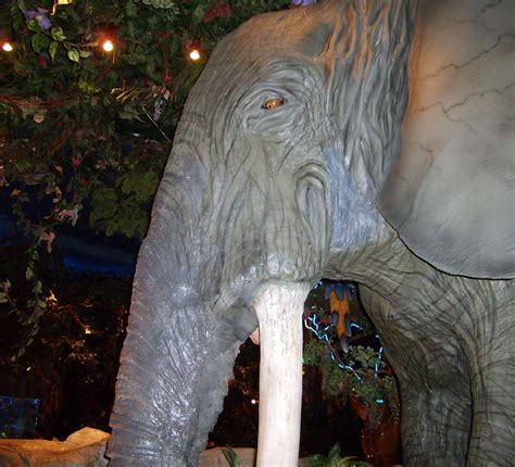 Downtown Disney Rainforest Cafe Elephant 3 Jared Flickr