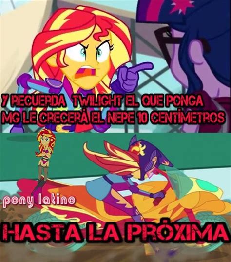 Memes De Mlp Equestria Fan Club No Oficial Amino