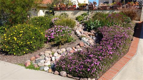 A Beginner's Guide to Drought-Tolerant Landscaping in California