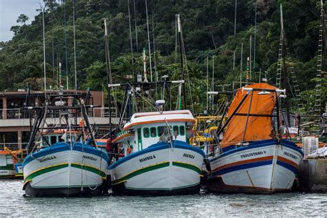 Marina Em Ubatuba Guia Completo Para Navegantes