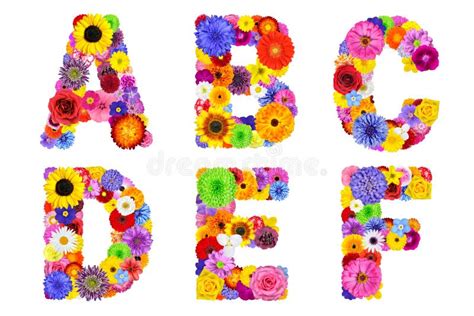 Floral Alphabet Isolated On White Letters A B C D E F Stock