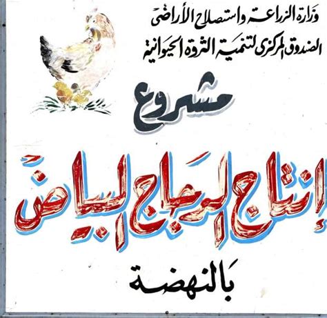 وزير الزراعة نحقق اكتفاءً ذاتيًا من الدواجن والبيض أخبار مصر الوطن