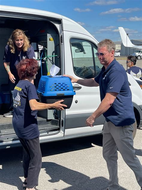 The daily operations of animal rescue services explained for donors 16