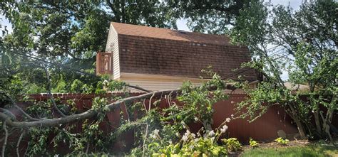 Neighbors tree fell on our power line and fence during a storm should
