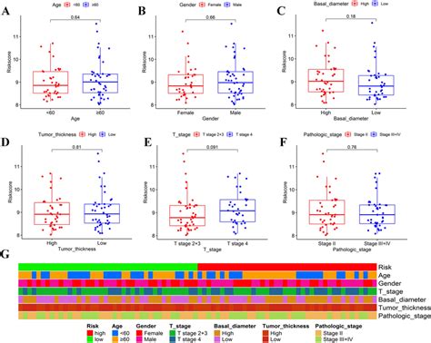 Correlation Analysis Of The Risk Score With Clinicopathological