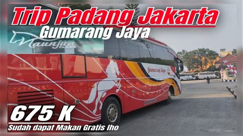 Padang Jakarta Rp Naik Bus Yang Lagi Naik Daun Gumarang Maunjua