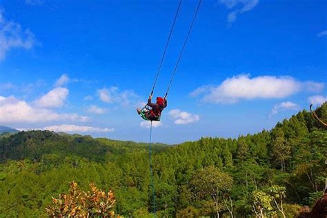 Merasakan Sensasi Ayunan Langit Ayunan Di Ketinggian Atas Tebing