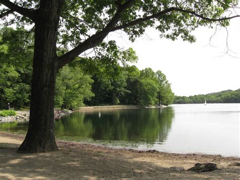 Jamaica Pond Closed To Water Activities After Toxic Algae Bloom | WBUR News