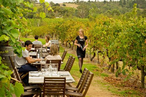 HOT SPRINGS WINERY TOUR Mornington Peninsula AUSTRALIAN PRIVATE TOURS