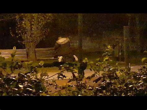 Follar En El Parque Follar En El Parque XVIDEOS