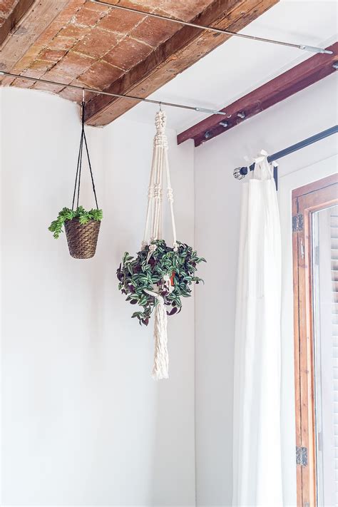 How To Hang Plants From Your Ceiling In Less Than 20 Minutes