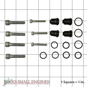 Check Valve Kit Gs