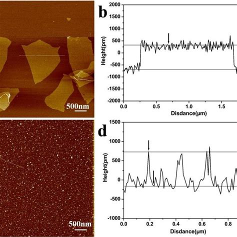 Tapping Mode Atomic Force Microscopy Images Of Individual A Go And