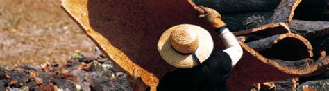 Hot Sexy Fernanda Mota Farhat Bikini Pics