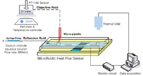 Schematic Of The Microfluidic Experimental Setup Download Scientific