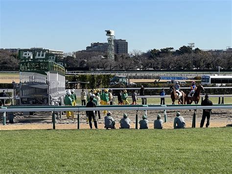 【プリュムドール登場】今週の動向（出資馬情報・jra出走特注馬） もしも一口馬主で“競走馬育成シミュレーションゲーム”みたいな体験ができ