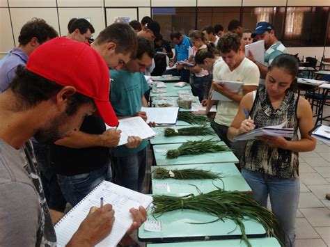 Pronera Inspira Programas Educacionais Voltados Ao Campo No Rio Grande