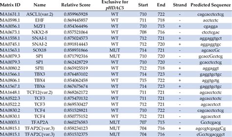 Summary Of Transcription Factor Binding Sites Tfbs Identified With