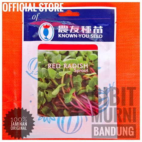 Jual BENIH BIBIT MICROGREENS RED RADISH SPROUT 10 GRAM ORIGINAL PACK